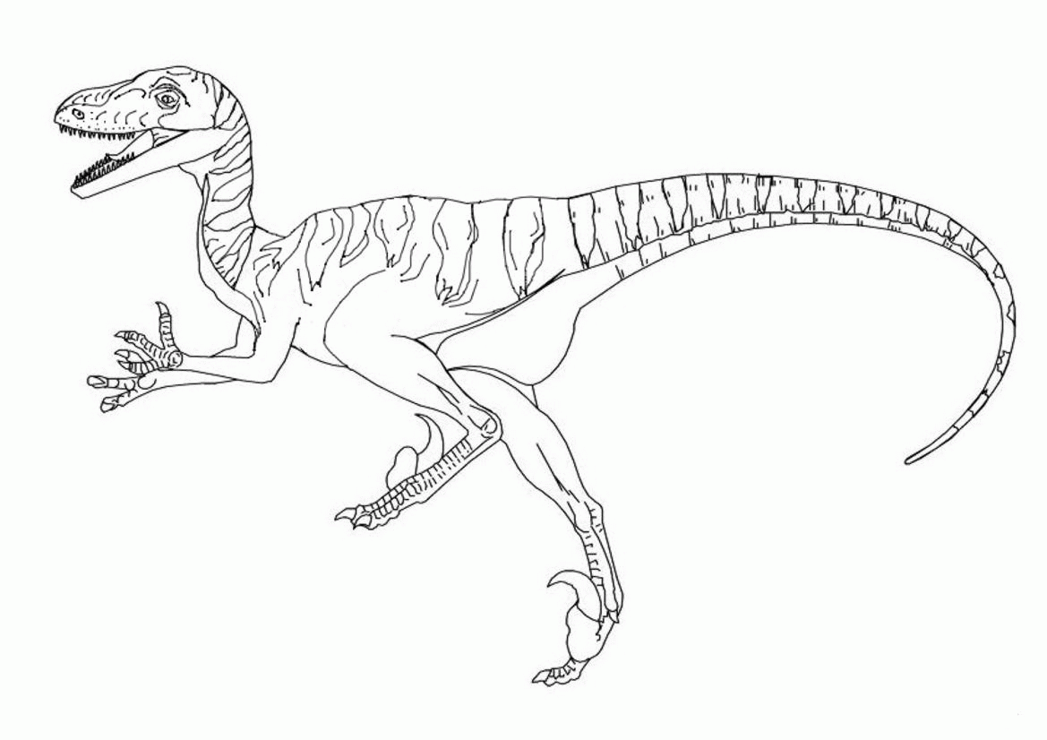 Dinozaury kolorowanki